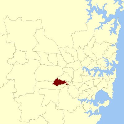 Cabramatta state by-election, 2008