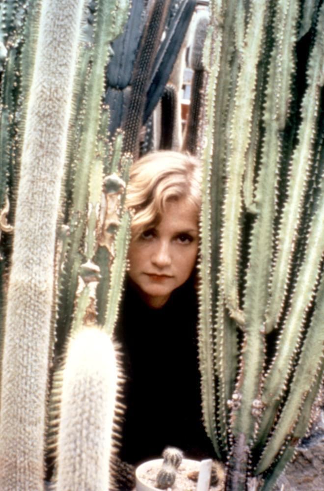 Cactus (1986 film) Cineplexcom Cactus