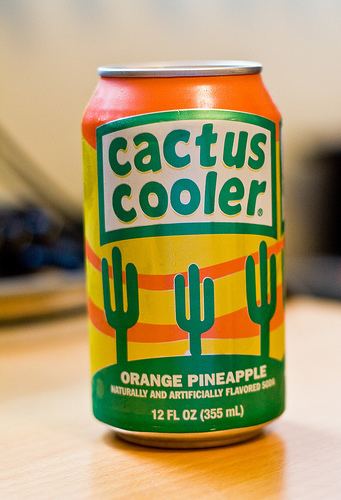 Cactus Cooler Cactus cooler can be QUITE refreshing trees