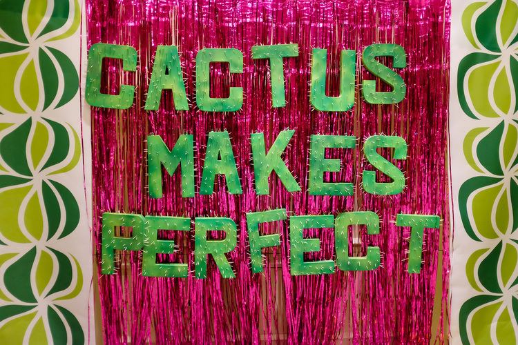 Cactus Makes Perfect Cactus Makes Perfect Party with Joann Stores Salty Canary