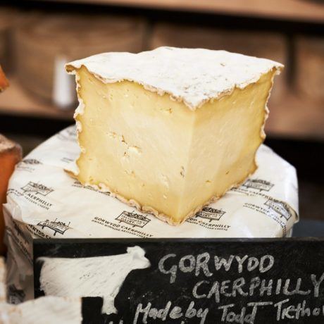 Caerphilly cheese Gorwydd Caerphilly cheese buy online The Courtyard Dairy