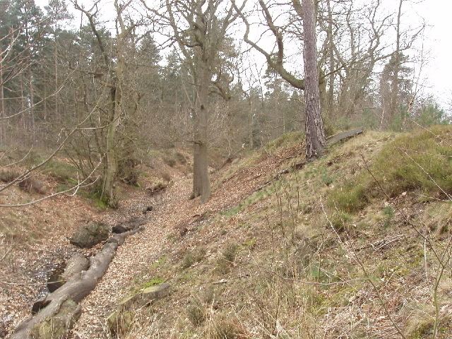 Caesar's Camp, Bracknell Forest