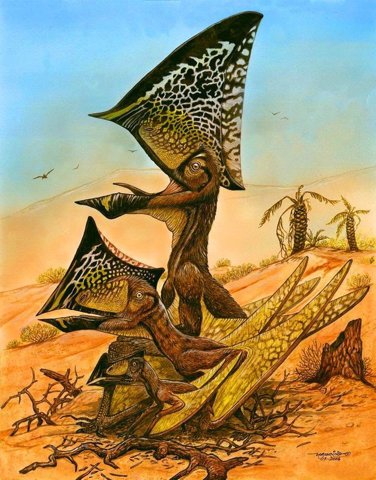 Caiuajara Caiuajara dobruskii New Pterosaur Species Discovered in Brazil