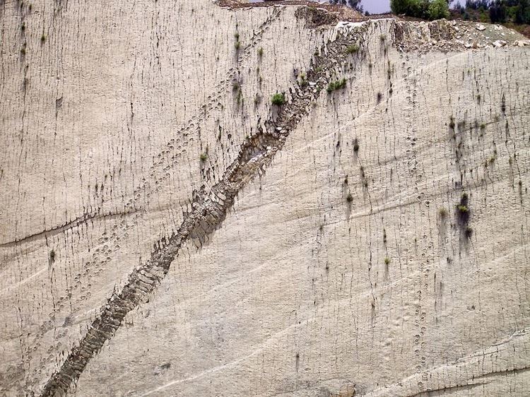 Cal Orcko Cal Orcko A 300 Feet Wall With Over 5000 Dinosaur Footprints
