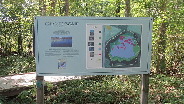 Calamus Swamp