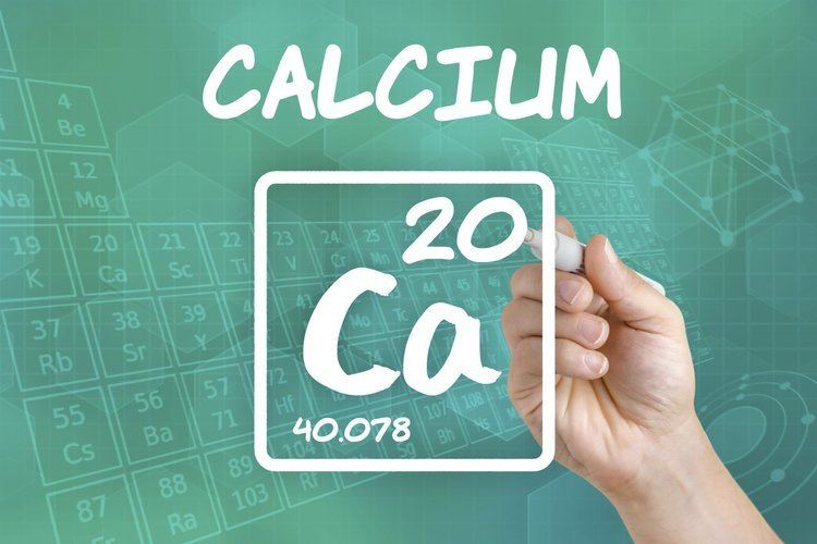 Calcium Calcium Chews Supplement by Hemochromatosis Help My