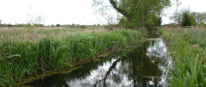 Caldicot and Wentloog Levels Gwent Levels The Wildlife Trusts