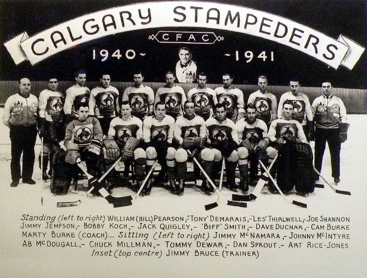Calgary Stampeders (ice hockey)