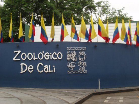 Cali Zoo 1000 images about Cali Colombia on Pinterest Santiago Church and