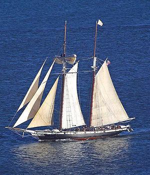 Californian (schooner) httpsuploadwikimediaorgwikipediacommonsthu