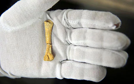 Callao Man Archaeologists unearth 67000yearold human bone in Philippines