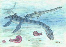 Callawayasaurus httpsuploadwikimediaorgwikipediacommonsthu