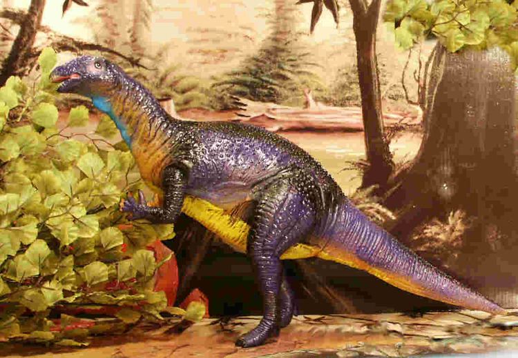 Callovosaurus Middle Jurassic Eustreptospondylus Lexovisaurus Callovosaurus