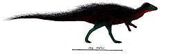 Callovosaurus Callovosaurus Wikipedia