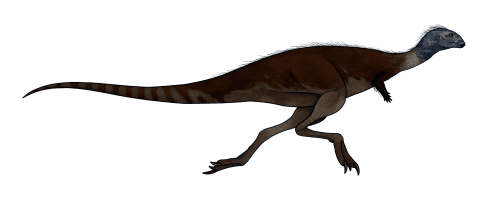 Callovosaurus Callovosaurus leedsi A Dinosaur A Day