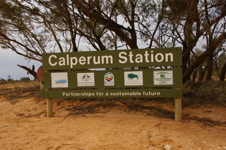 Calperum Station (reserve) studyadelaidecomwpcontentuploads201511calpe