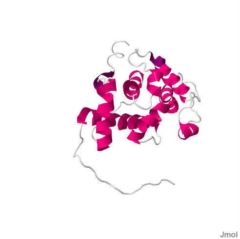 Calponin homology domain