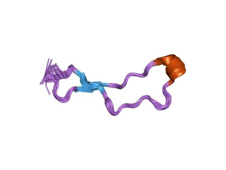 Calreticulin protein family