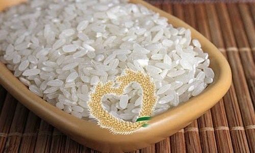 Calrose rice Grain Vietnam Calrose Rice Calrose Rice from Vietnam