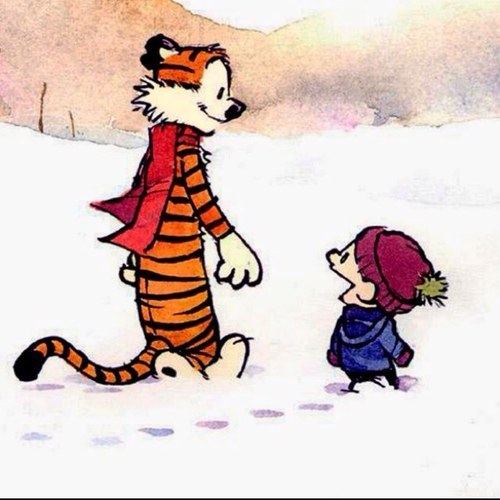 Calvin and Hobbes httpspbstwimgcomprofileimages3788000001080