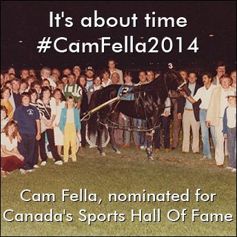 Cam Fella Cam Fella Submitted For Canada39s Sports Hall Of Fame Standardbred