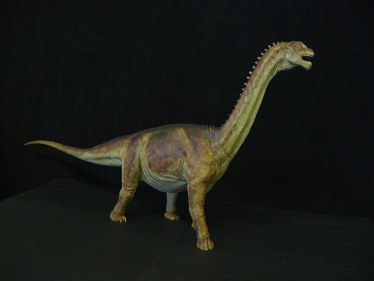 Camarasaurus Camarasaurus Facts and Pictures