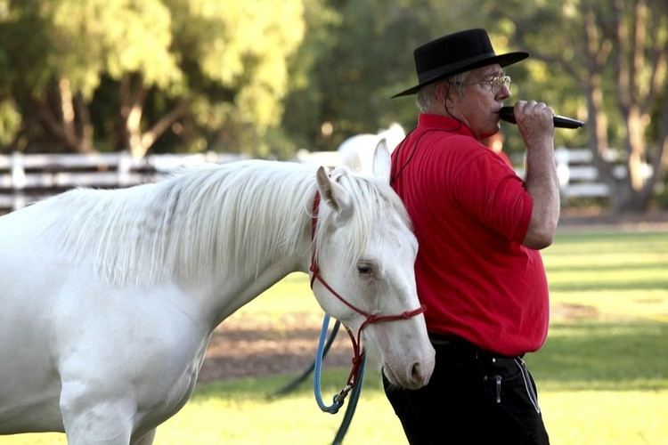 Camarillo White Horse Camarillo White Horse Home