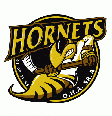 Cambridge Hornets Cambridge Hornets hockey logo from 199900 at Hockeydbcom