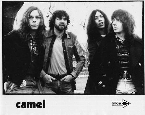 Camel (band) Camel band Camel Pinterest Camel and Band