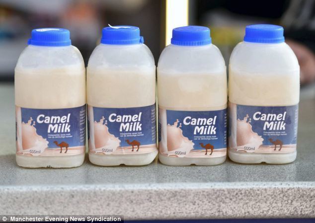 Camel milk Corner shop starts selling frozen CAMEL MILK for 6 a pin Daily