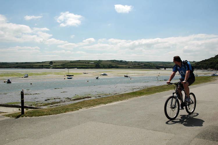 Camel Trail wwwcoolplacescouksystemimages2305padstowcy
