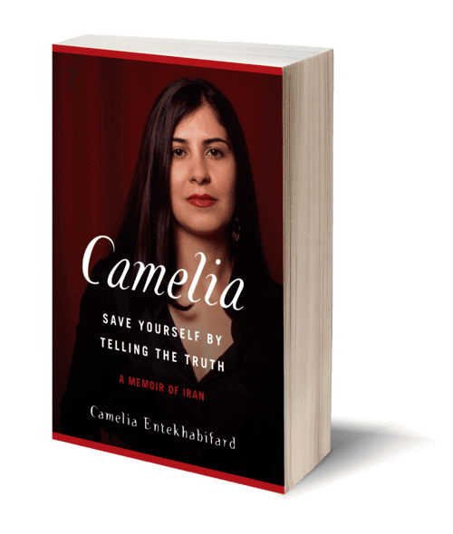 Camelia Entekhabifard Seven Stories Press