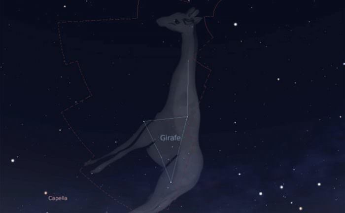 Camelopardalis The Constellation Camelopardalis Universe Today