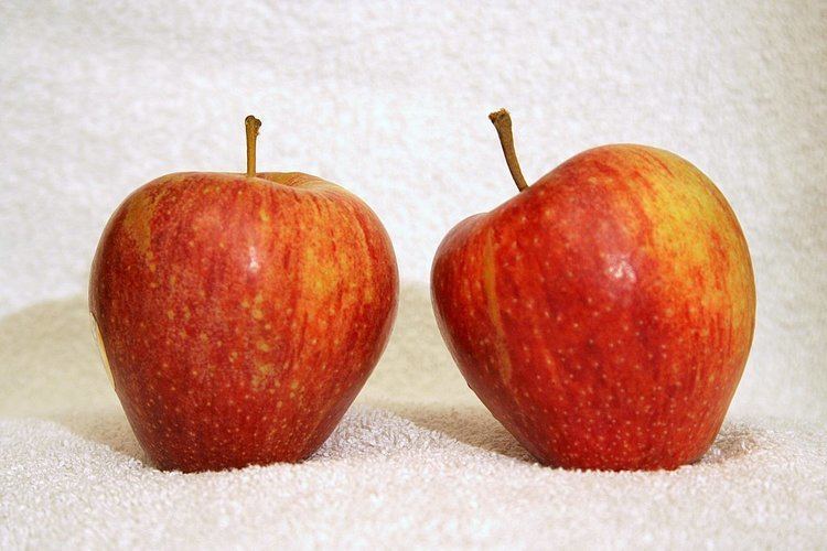 Cameo (apple) Cameo apple Wikipedia