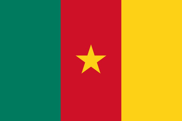 Cameroon at the 2015 World Aquatics Championships