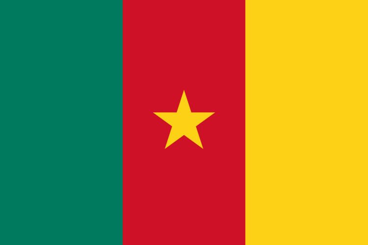 Cameroon at the 2016 Summer Paralympics