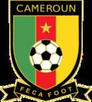 Cameroon national futsal team httpsuploadwikimediaorgwikipediaenthumbe