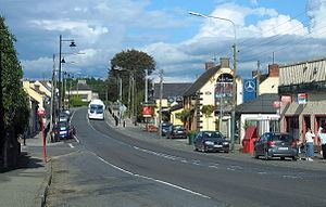 Camolin, County Wexford httpsuploadwikimediaorgwikipediacommonsthu