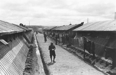 Camp de concentration d'Argelès-sur-Mer Le suspect de l39htel FALCN Itinraire d39un rvolutionnaire