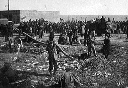 Camp de concentration d'Argelès-sur-Mer Camp de Saliers 19421944 Une mmoire en hritage Historique du