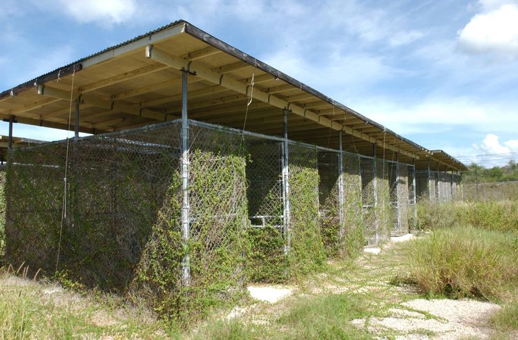 Camp X-Ray (Guantanamo) FileOvergrown Camp XRay Guantanamo circa 2007 ejpg Wikimedia