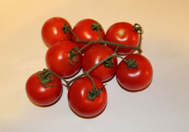 Campari tomato Campari tomato Wikipedia