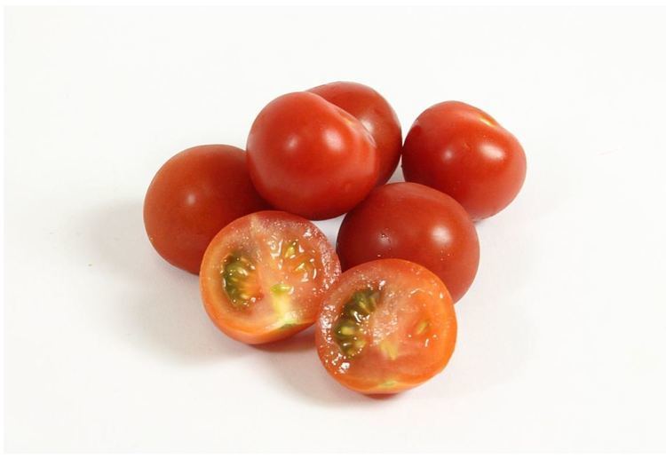Campari tomato Campari Tomato John Vena Inc