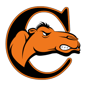 Campbell Fighting Camels and Lady Camels Campbell Fighting Camels Basketball at College Poll Tracker