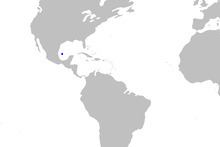 Campeche catshark httpsuploadwikimediaorgwikipediacommonsthu