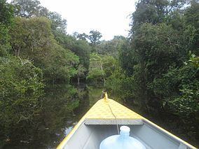 Campos Amazônicos National Park httpsuploadwikimediaorgwikipediacommonsthu