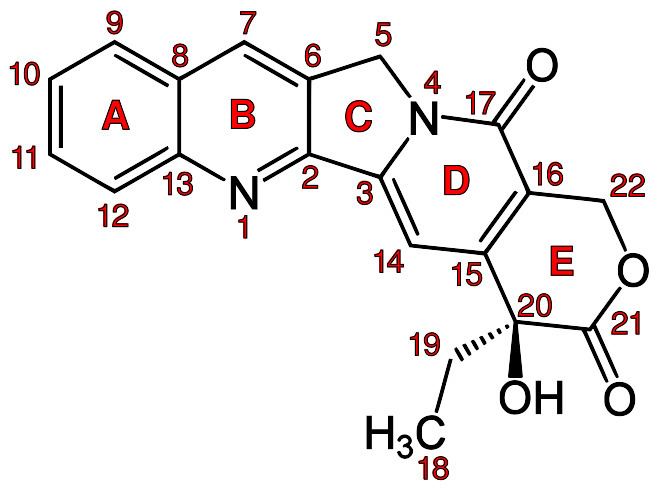 Camptothecin FileCamptothecin numberingsvg Wikipedia