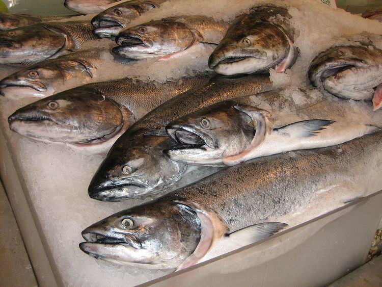 Canada–Australia salmon trade dispute