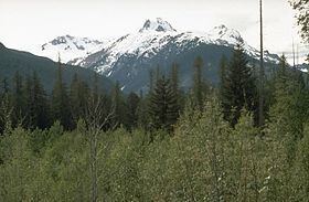 Canadian Cascade Arc httpsuploadwikimediaorgwikipediacommonsthu