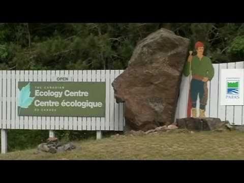 Canadian Ecology Centre httpsiytimgcomviXkP39ztDWYhqdefaultjpg